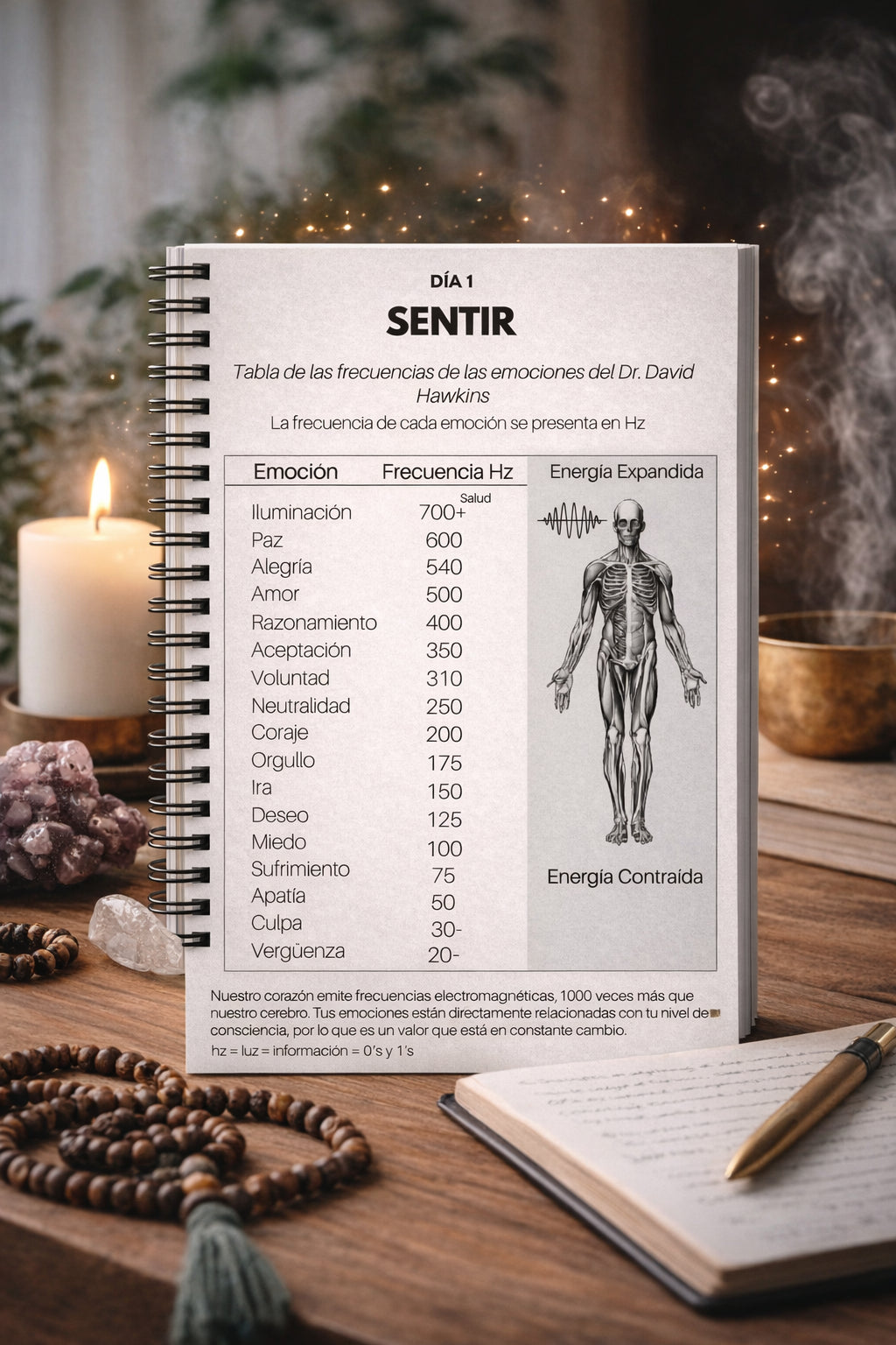 33 DIAS DE MANIFESTACIÓN